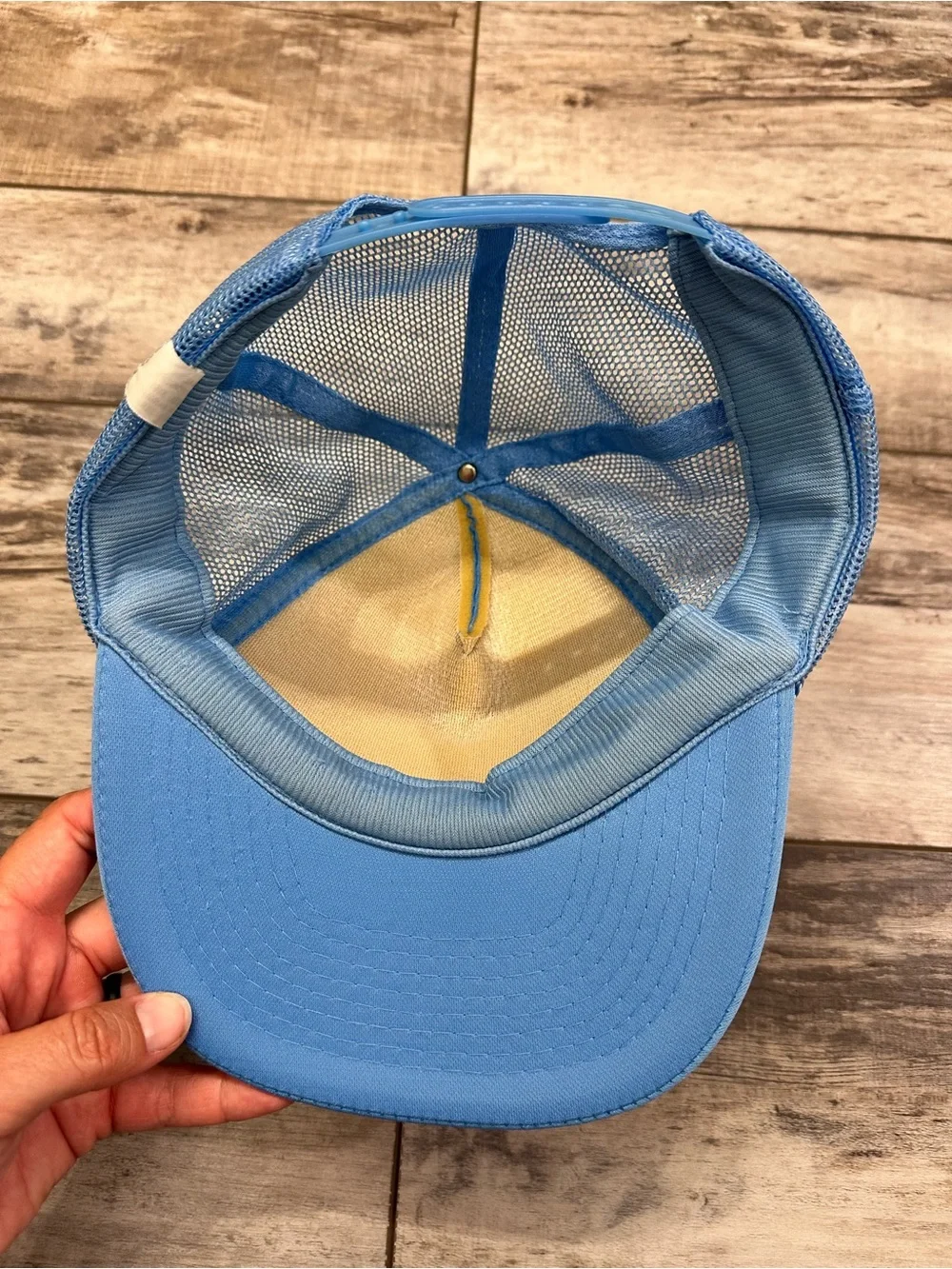 Desert Hot Springs Light Blue Trucker Cap with Bird Graphic